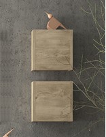 Auxiliar pequeño roble natural