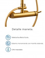 Columna de ducha monomando oro titanio modelo LIKE de Aquassent especificaciones