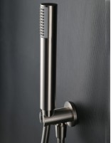 Conjunto de ducha termostático empotrado níquel teleducha