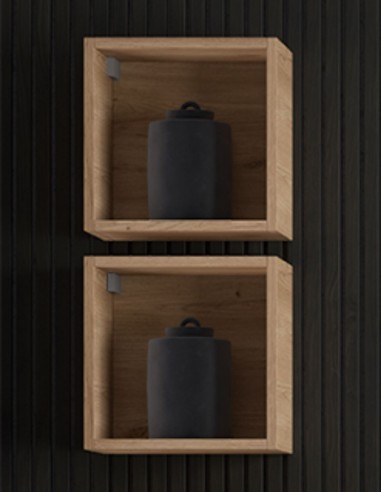 Módulo auxiliar de 1 hueco gold