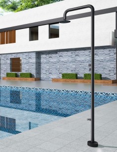 Ducha de piscina negra modelo acero inoxidable S316 Michigan de Imex 2