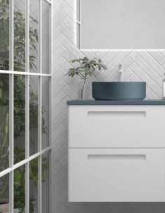 Mueble baño Avila Dos París - 2 cajones con lavabo sobre encimera 2