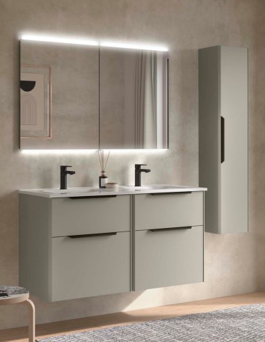 Conjunto suspendido lavabo doble grey