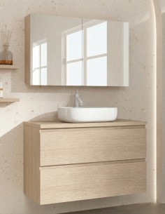 Conjunto sobre encimera - 2 cajones + lavabo MILÁN de Socimobel