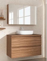 Conjunto sobre encimera - 2 cajones + lavabo elegan