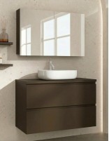 Conjunto baño sobre encimera café