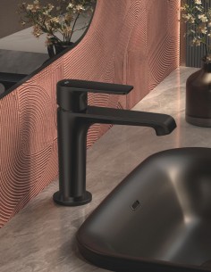 Grifo lavabo latón negro/titanio - FIORE de GME 2