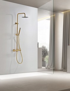 Conjunto barra de ducha monomando - oro cepillado BLESS de IMEX