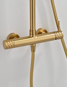 Conjunto barra de ducha monomando - oro cepillado BLESS de IMEX 2