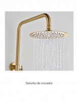 Conjunto barra de ducha monomando - oro cepillado BLESS de IMEX