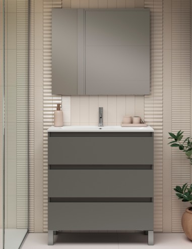 Conjunto fondo reducido Ceniza