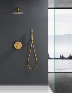 Conjunto ducha empotrado monomando - oro cepillado BLESS de IMEX 2