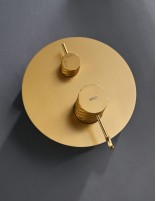 Conjunto ducha empotrado monomando - oro cepillado BLESS de IMEX