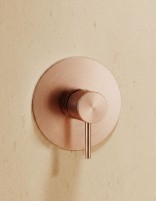 Set ducha 1 vía oro - cepillado rosa MONZA de IMEX detalle