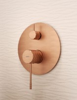 Conjunto ducha empotrado monomando - oro rosa cepillado GENOVA de Imex detalle