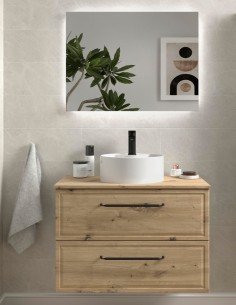 Conjunto de baño clásico sobre encimera - RUNA de Salgar 2