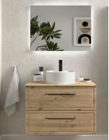 Conjunto de baño clásico sobre encimera roble
