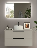 Conjunto de baño moderno sobre encimera + lavabo gris