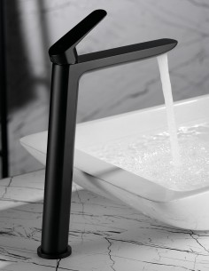 Lavabo grifo negro ambiente