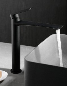 Grifería lavabo negro ambiente
